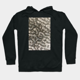 Volcanic Rock Pattern - Alternative Hoodie